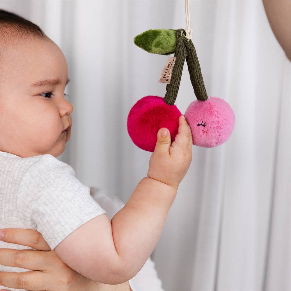 2 Pack Mini Market Brunch Stroller Toys - Pineapple & Cherries by Living Textiles