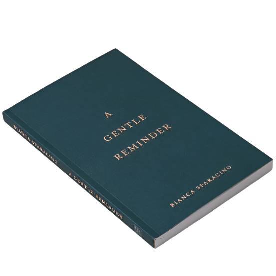 A Gentle Reminder - book by Thought Catalog