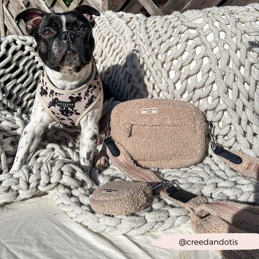 Dog Walking Bag and Accessories - Teddy Rupert by Cocopup London