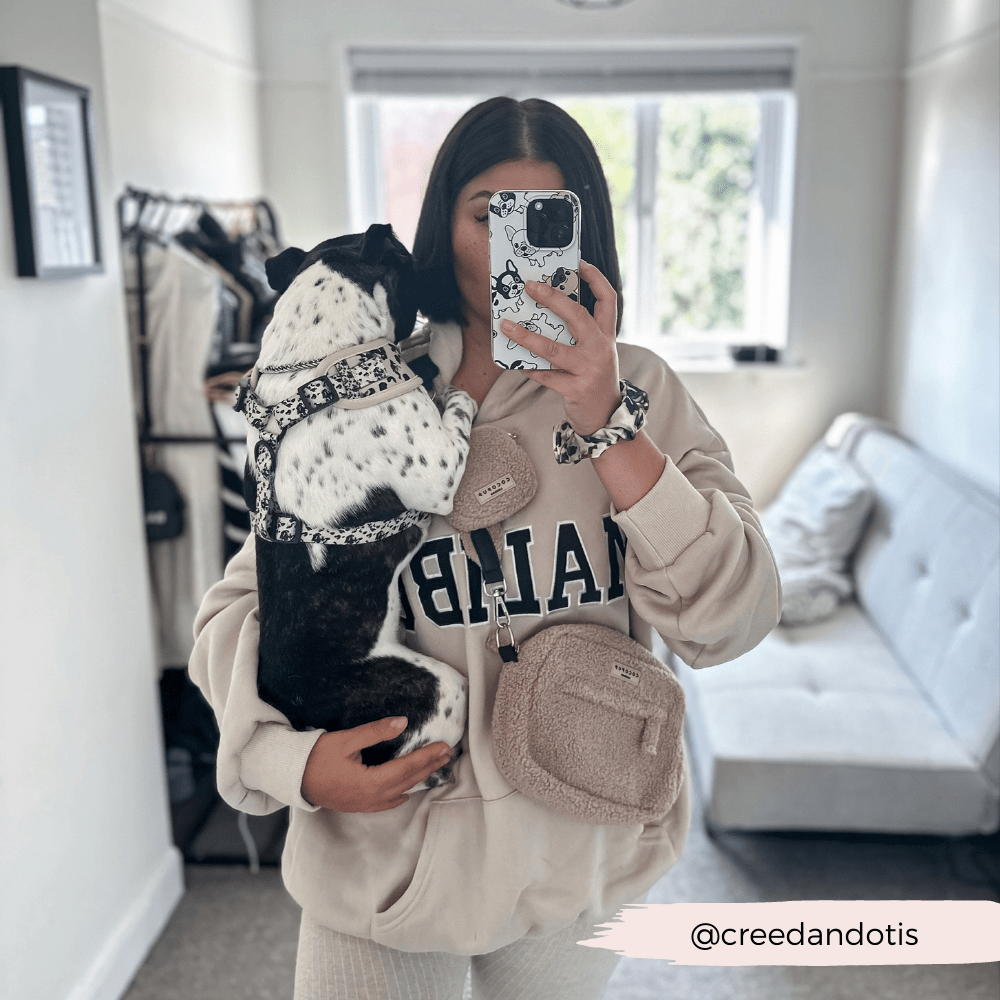 Dog Walking Bag - Teddy Rupert by Cocopup London