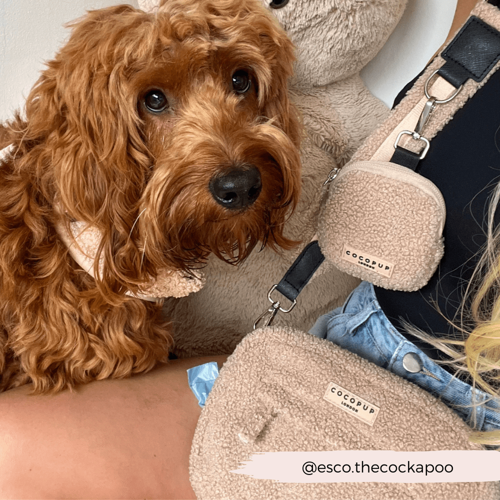 Dog Walking Bag - Teddy Rupert by Cocopup London