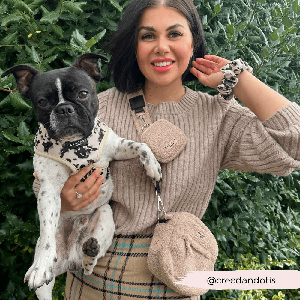 Dog Walking Bag - Teddy Rupert by Cocopup London