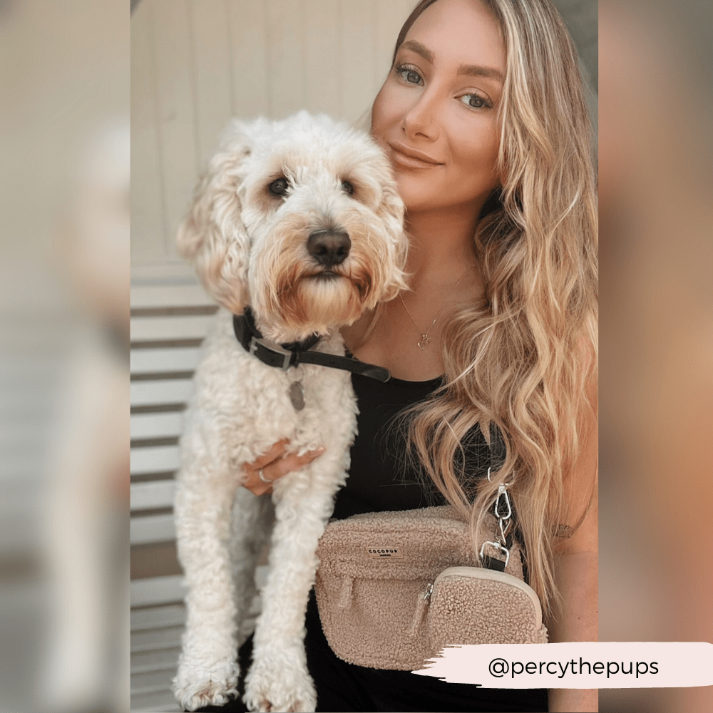 Dog Walking Bag - Teddy Rupert by Cocopup London