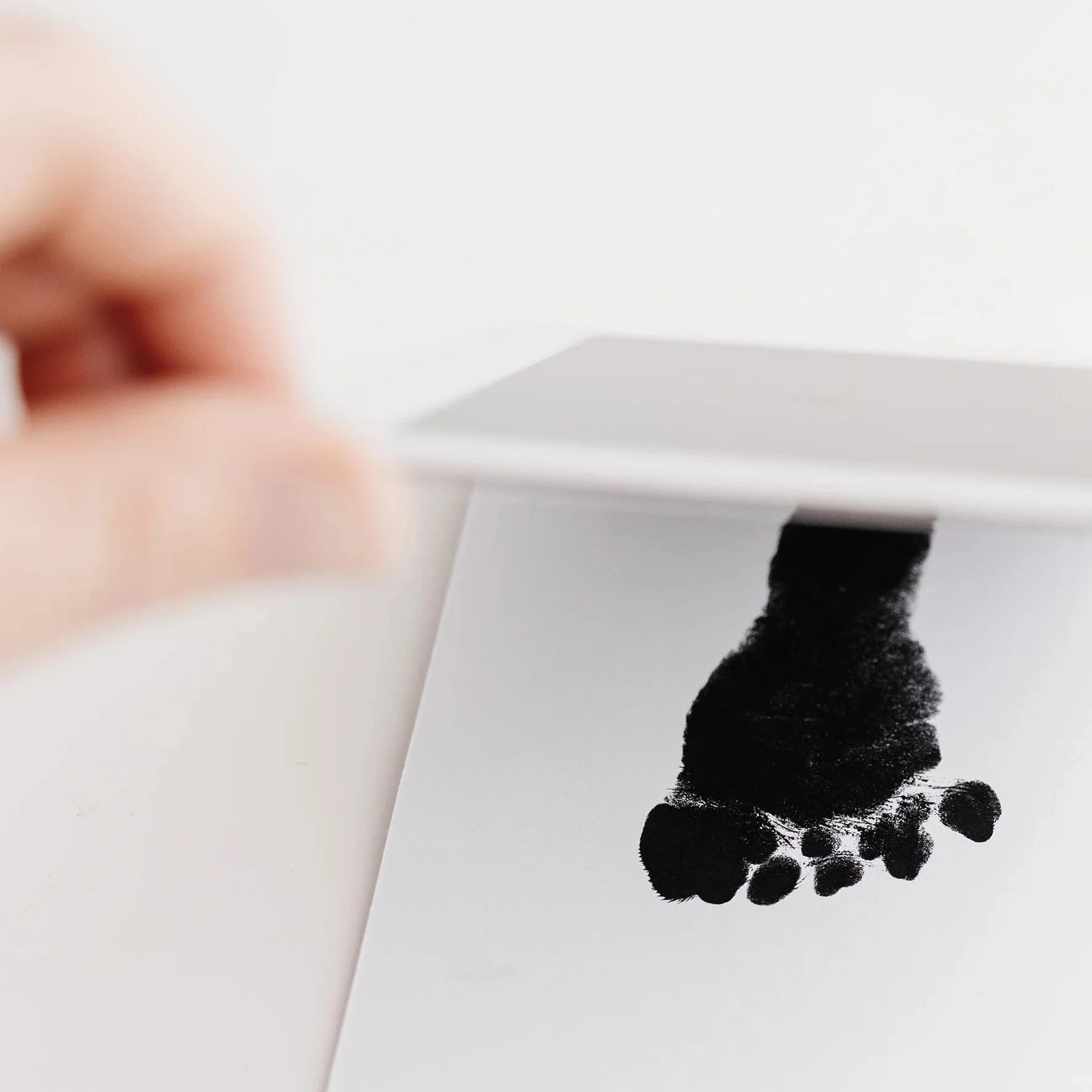 Ink-Free Baby Hand and Footprint Set by Truly Amor