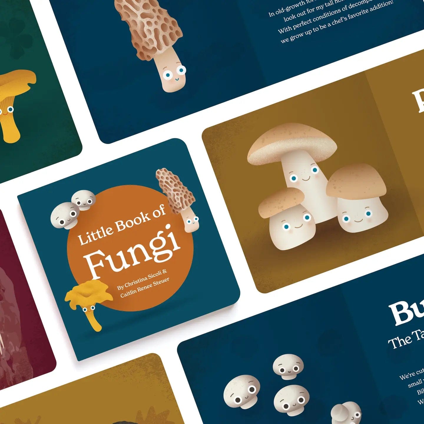 Little Book Of Fungi by Chunky Deli