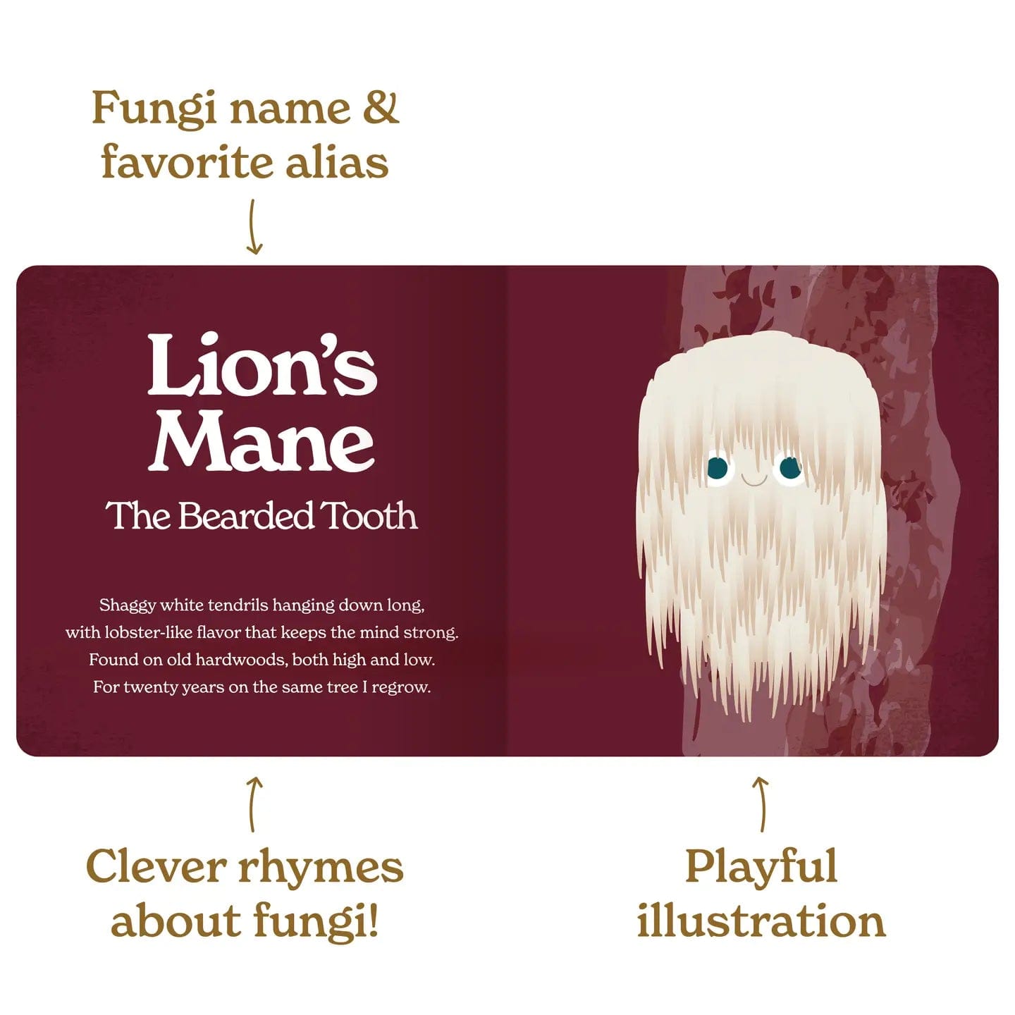 Little Book Of Fungi by Chunky Deli