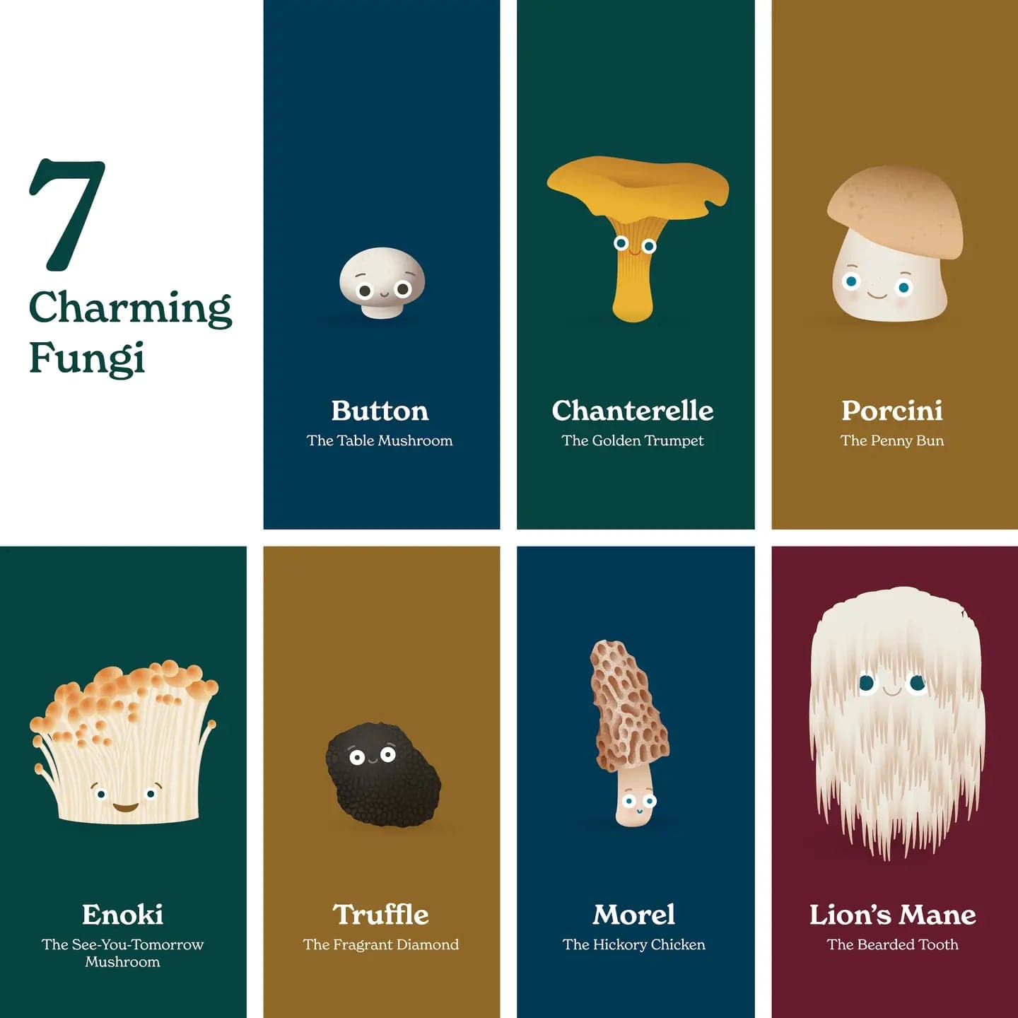 Little Book Of Fungi by Chunky Deli