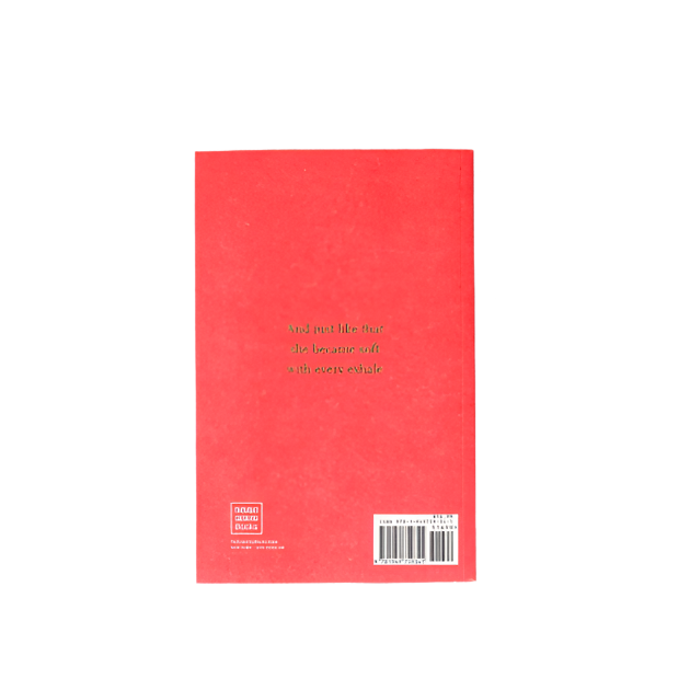 Little By Little - book by Thought Catalog