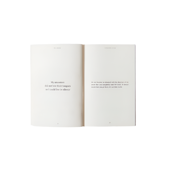 Little By Little - book by Thought Catalog