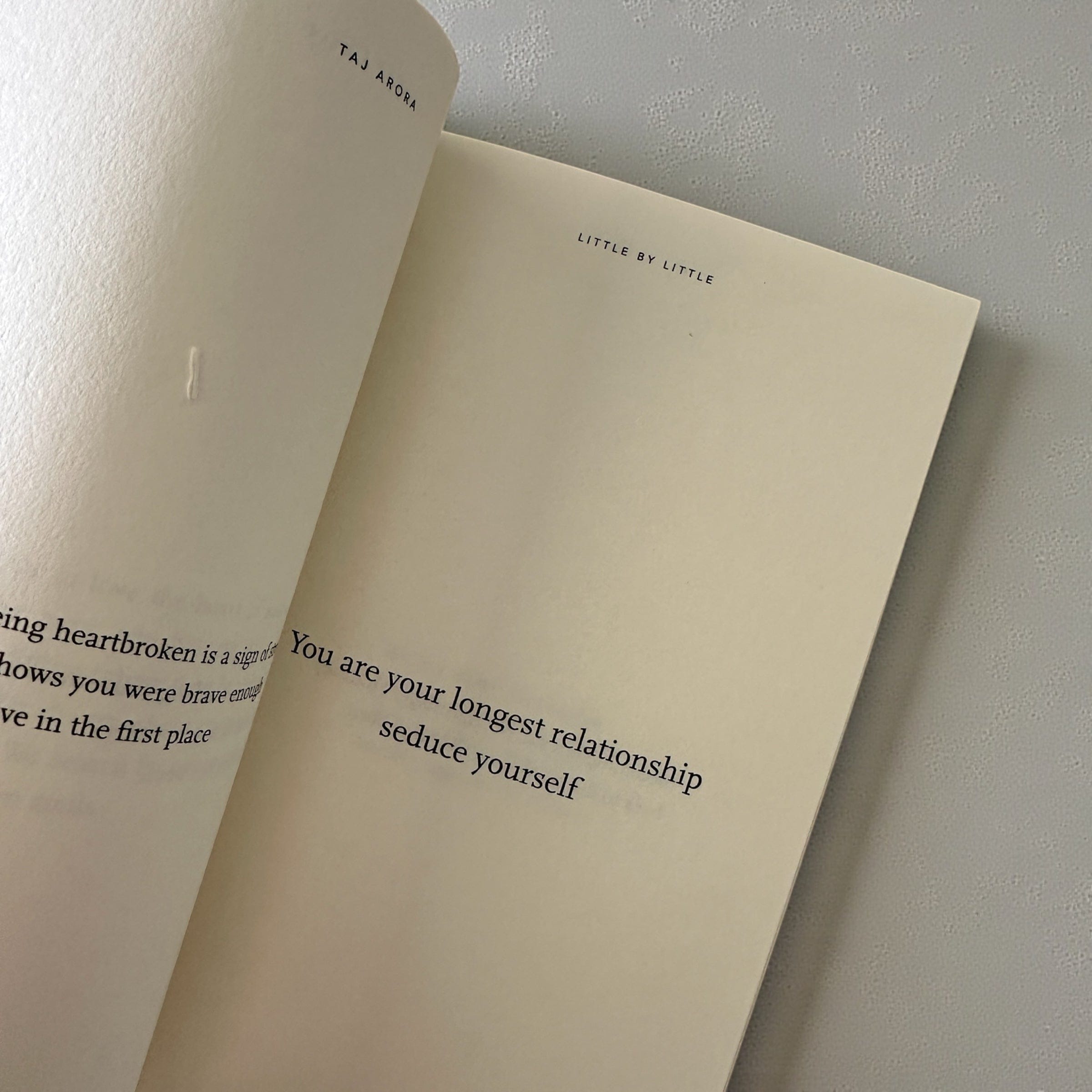 Little By Little — Taj Arora by Thought Catalog