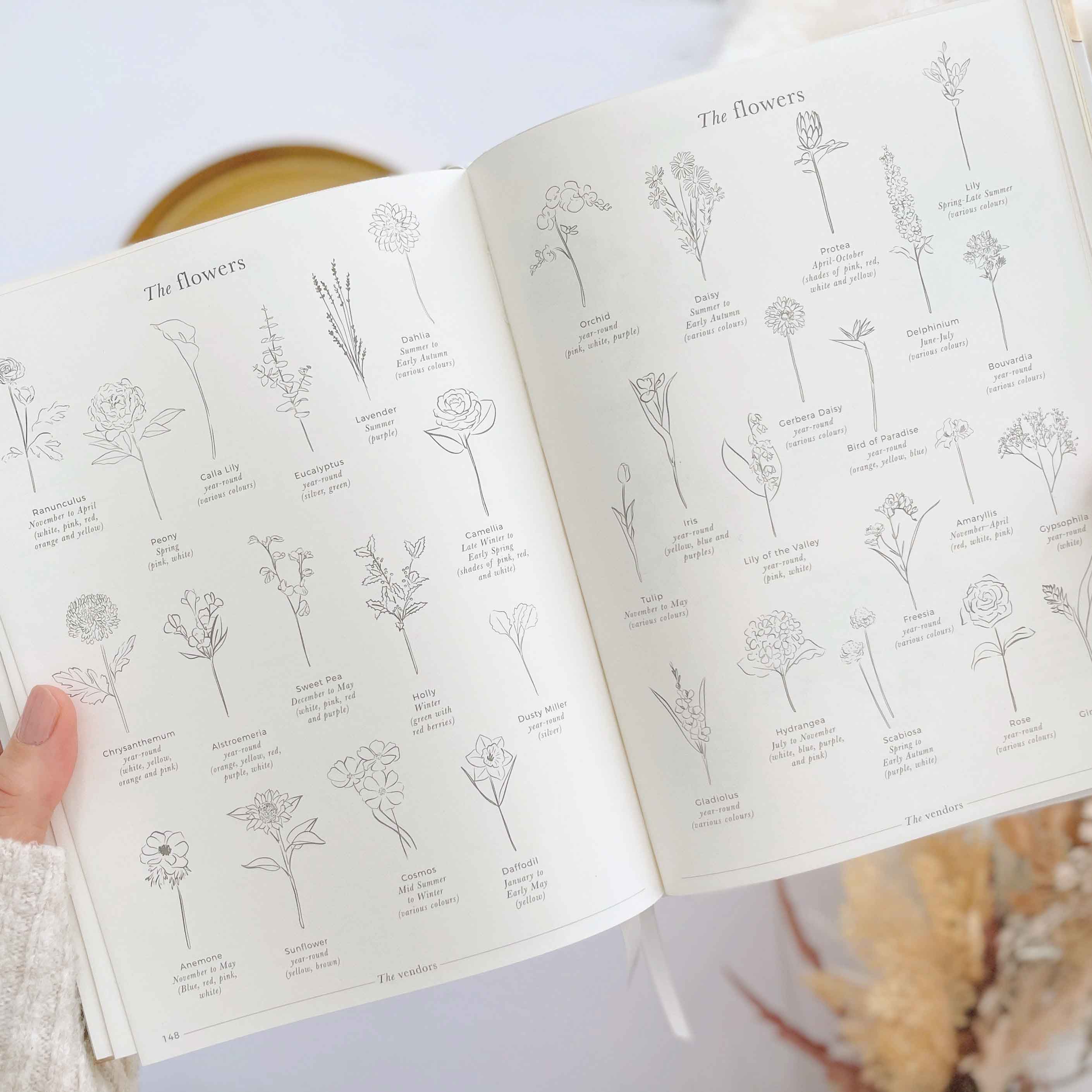 NEW - Ivory Cloth Wedding Planner Book with Gold Foil and Gi by Blush And Gold