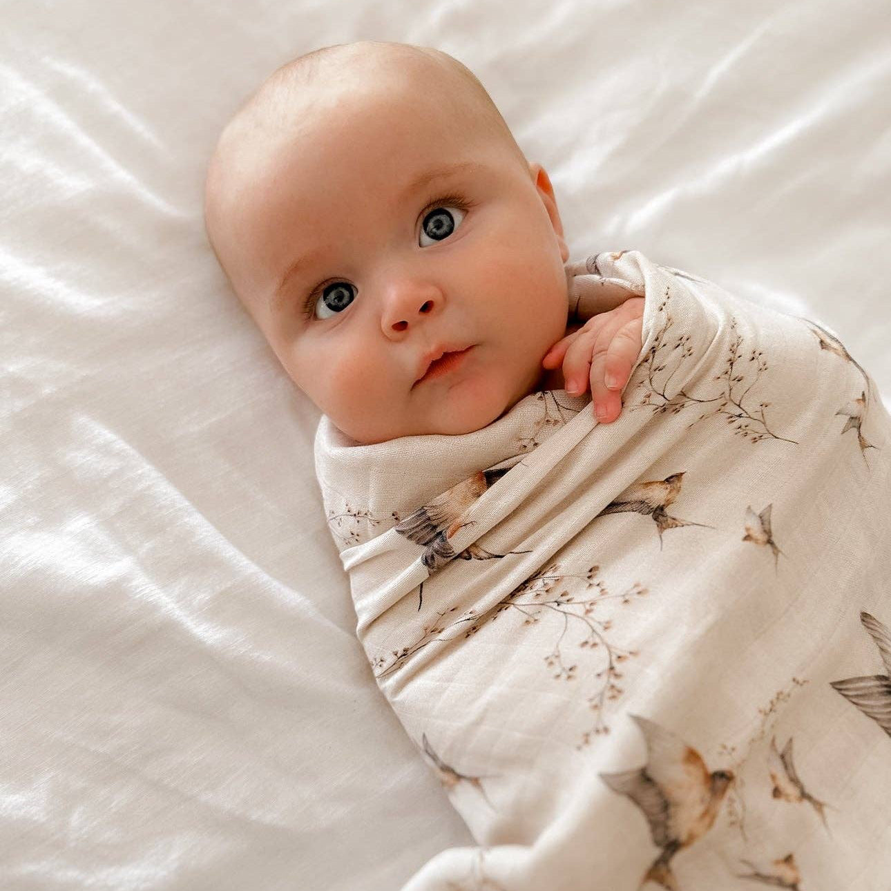 Nightingale Swaddle by Pop Ya Tot