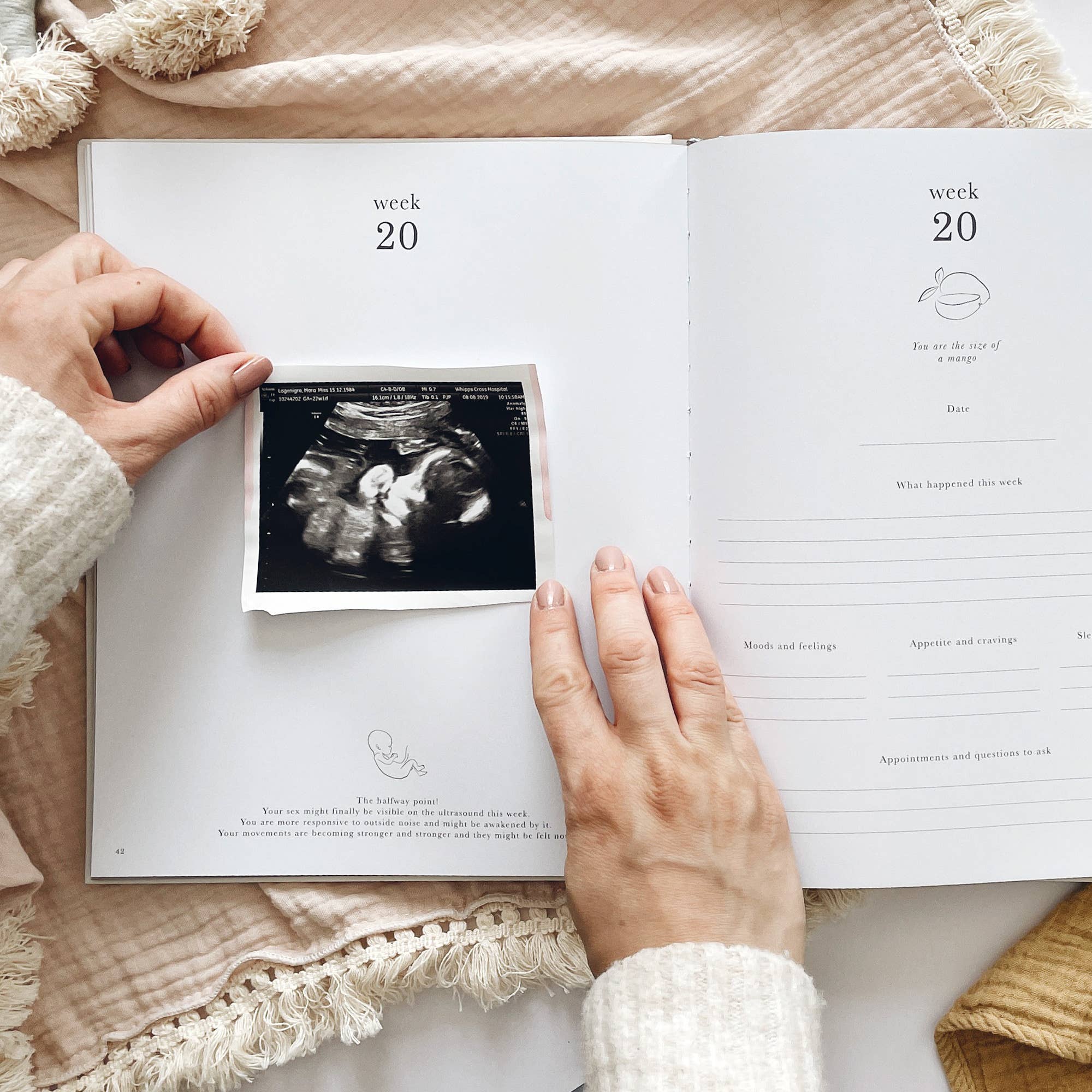 Pregnancy Journal (Pearl) - keepsake parents to be journal by Blush And Gold