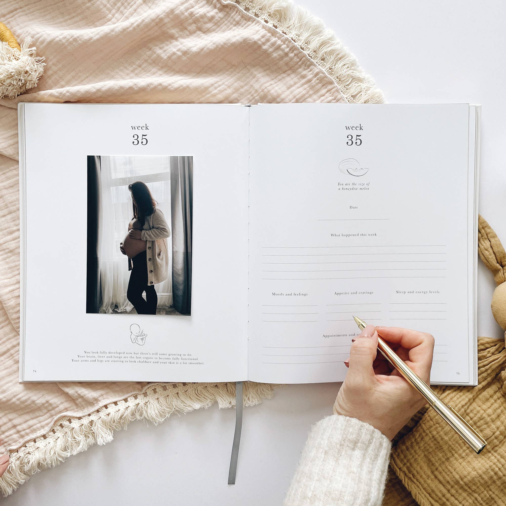 Pregnancy Journal (Pearl) - keepsake parents to be journal by Blush And Gold
