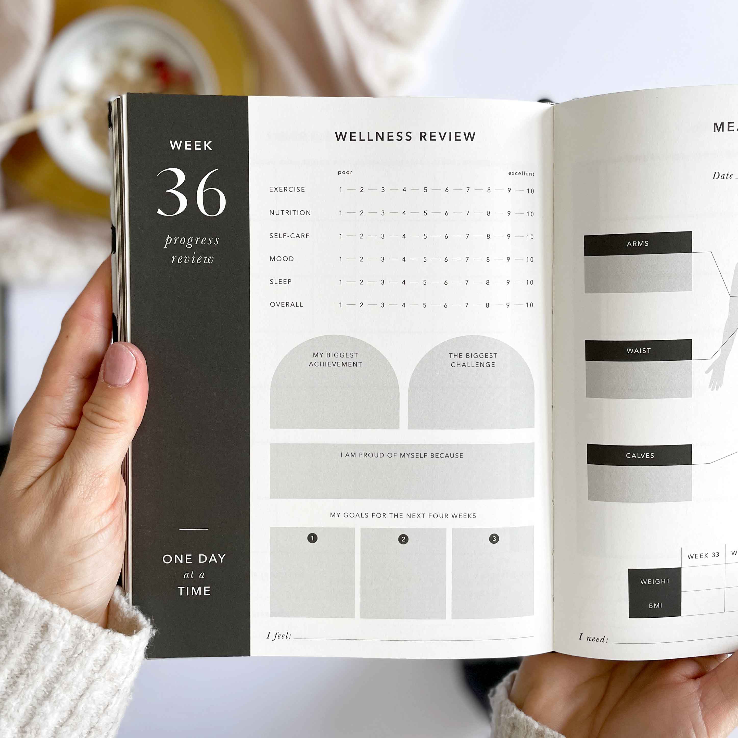 The Daily Fitness Planner - 365 Days of Movement, Meals & Motivation by Blush And Gold