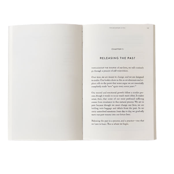 The Mountain Is You - book by Thought Catalog