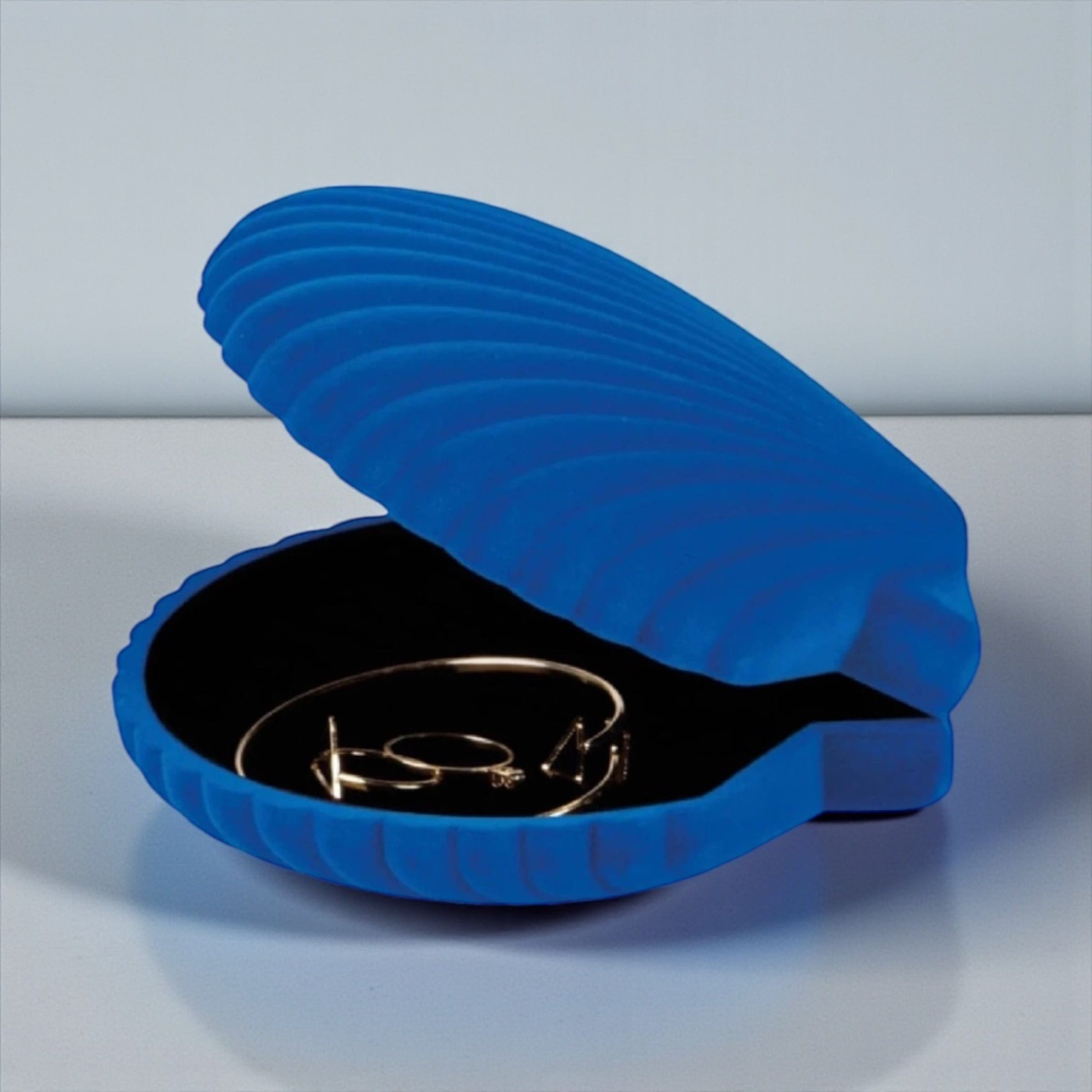 Venus Shell Jewellery Box Blue ONE LEFT by DOIY