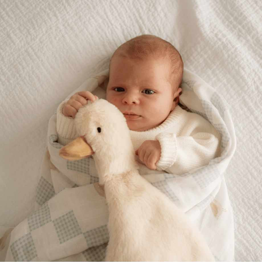 Waddles the Goose Comforter Toy by Pop Ya Tot