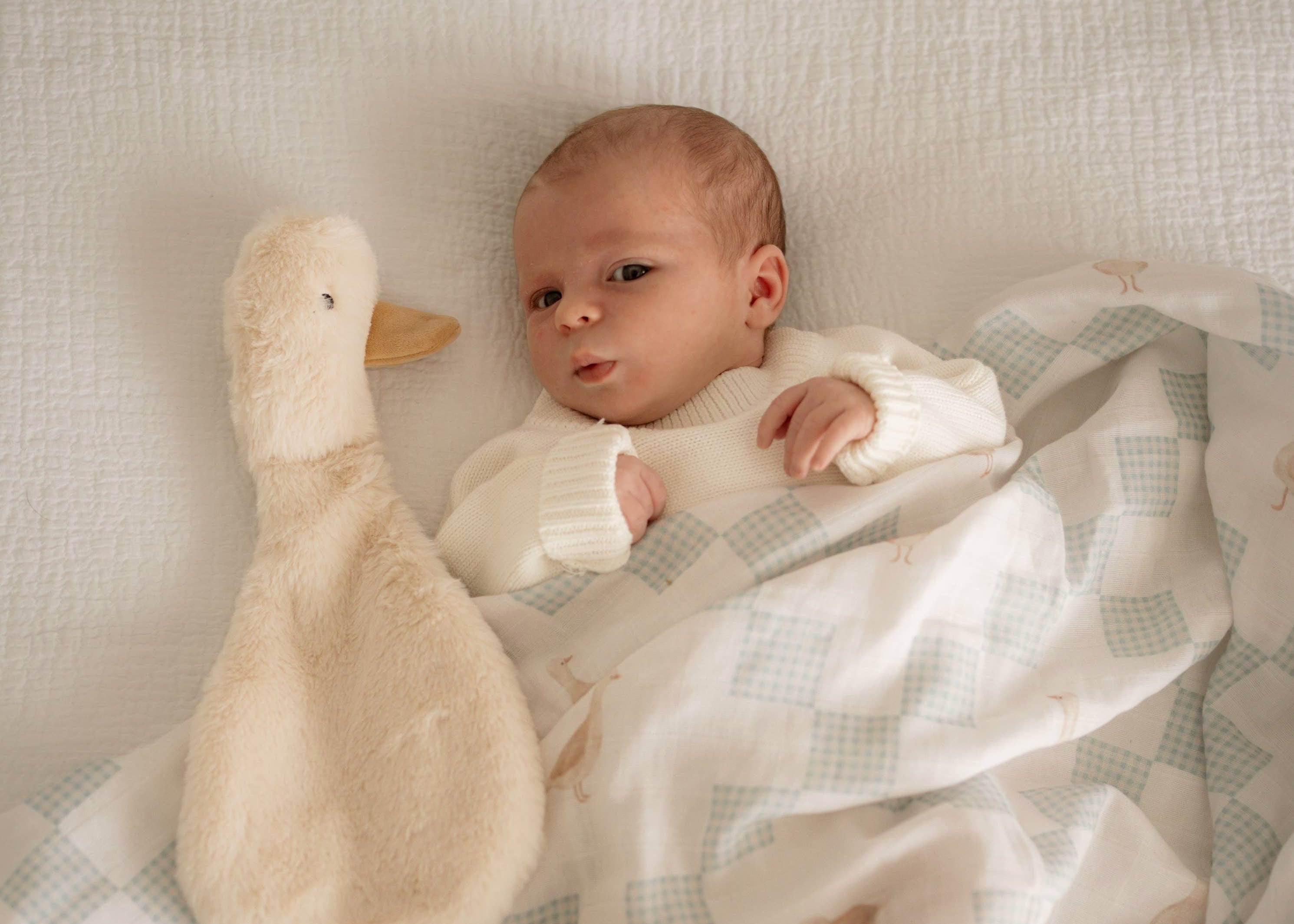 Waddles the Goose Comforter Toy by Pop Ya Tot