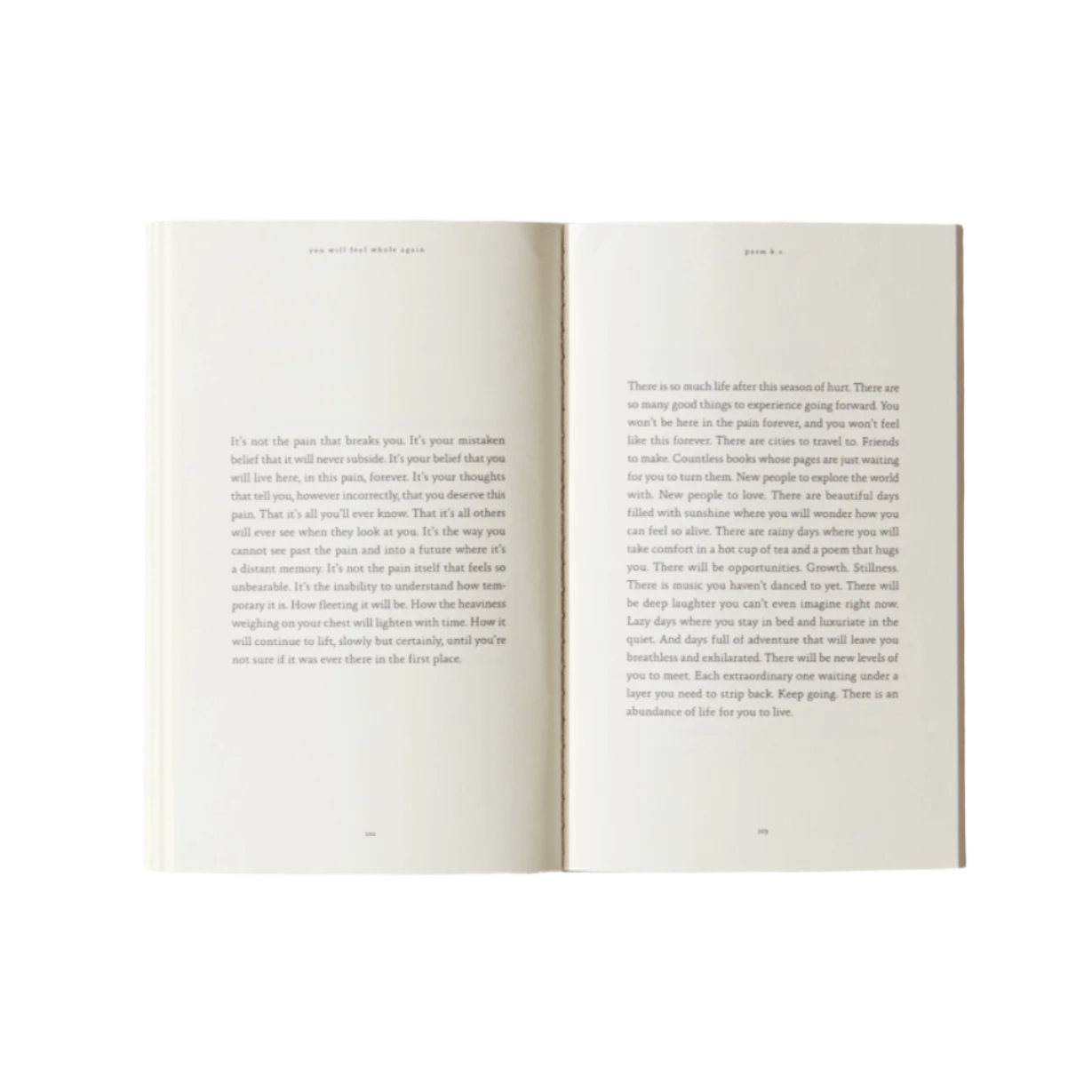 You Will Feel Whole Again - book by Thought Catalog