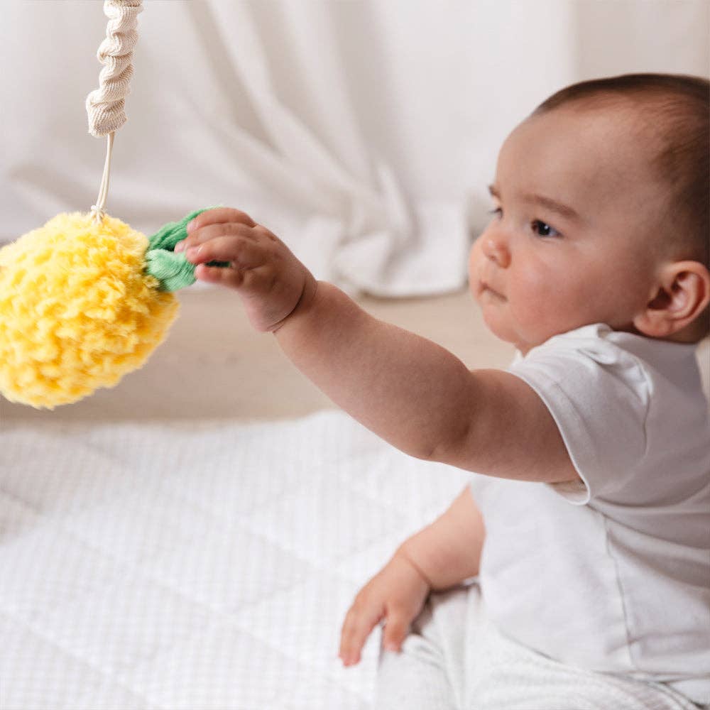 2 Pack Mini Market Brunch Stroller Toys - Pineapple & Cherries by Living Textiles
