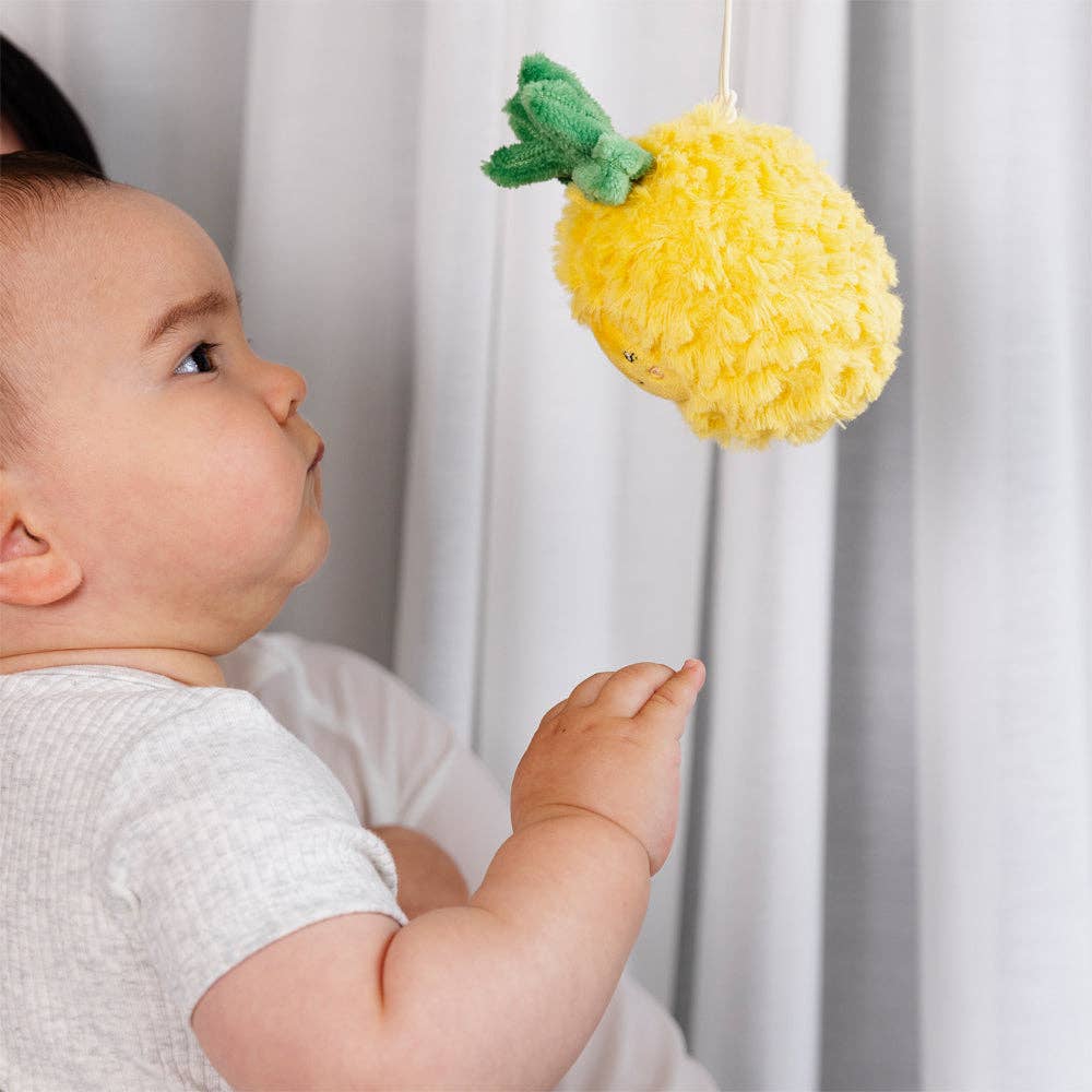 2 Pack Mini Market Brunch Stroller Toys - Pineapple & Cherries by Living Textiles