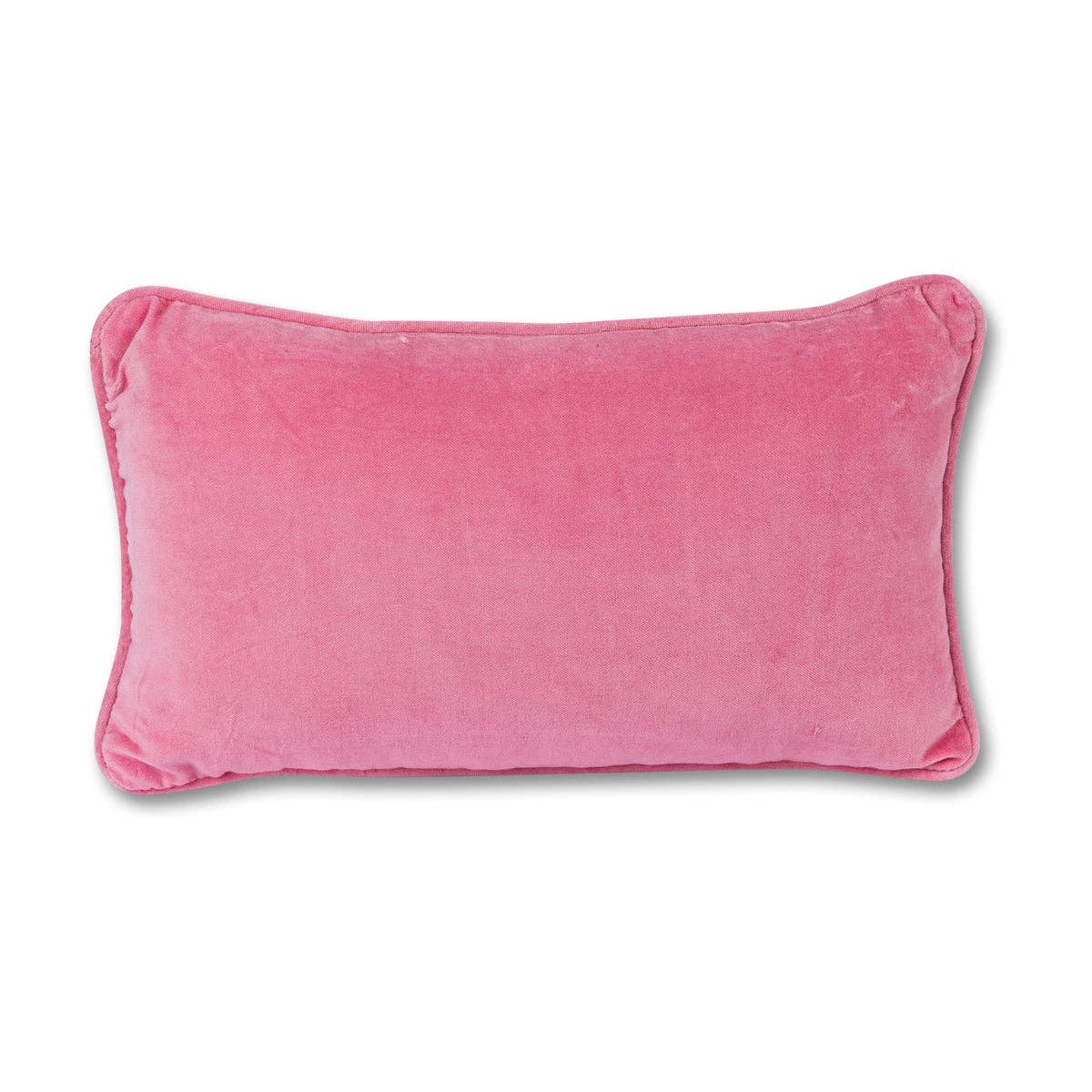 Ain't Nobody Needlepoint Pillow by Furbish Studio