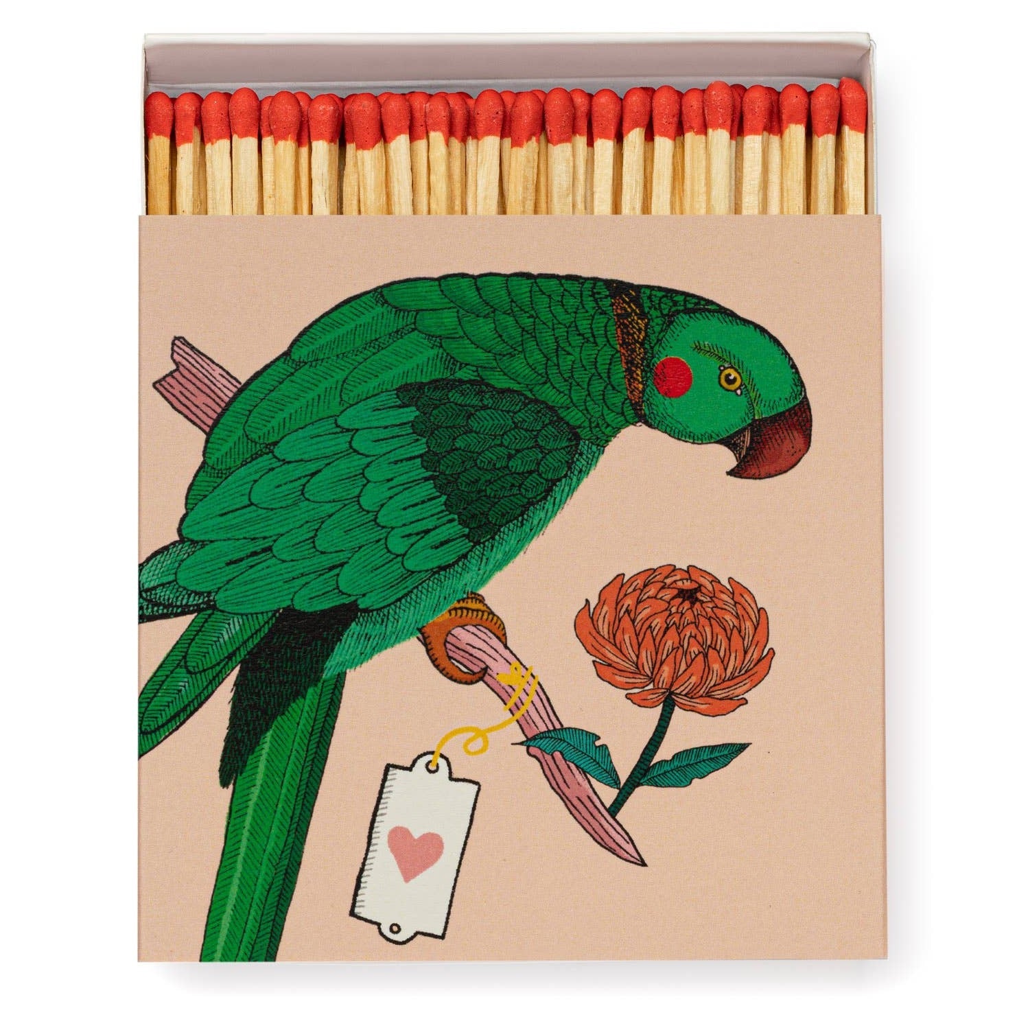 Ariane Parrot Matchbox by Archivist Gallery