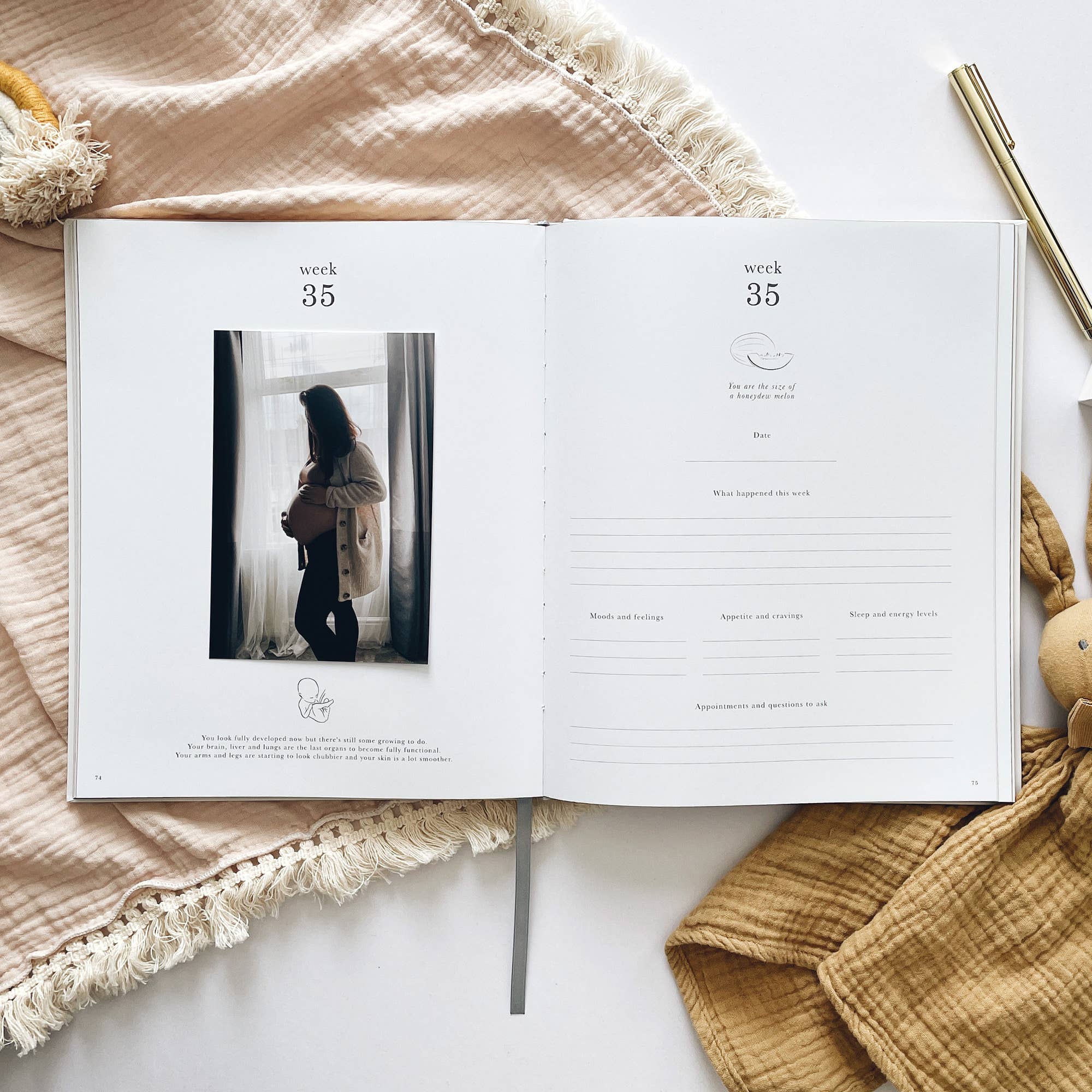 Pregnancy Journal (Pearl) - keepsake parents to be journal by Blush And Gold