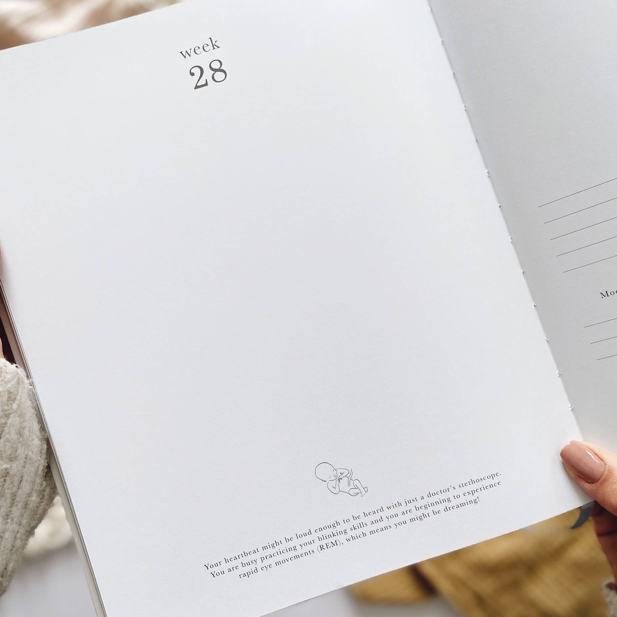 Pregnancy Journal (Pearl) - keepsake parents to be journal by Blush And Gold