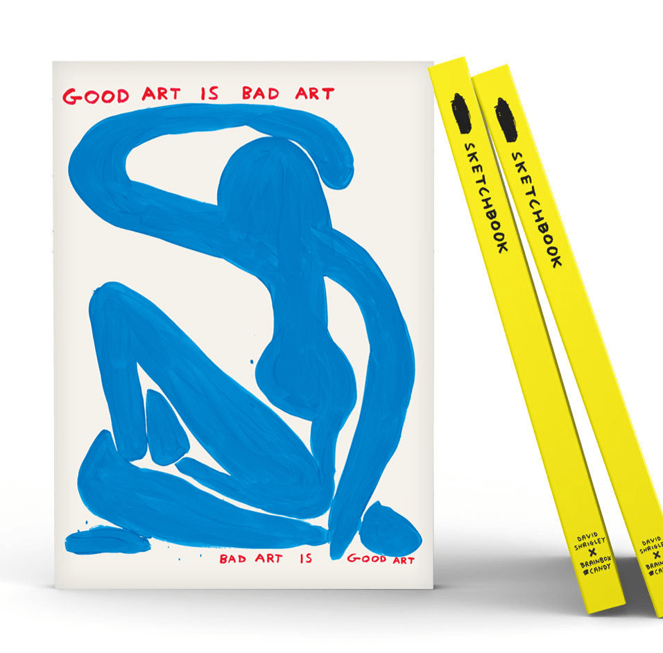 Shrigley Art Sketchbook - Good Art Is Bad Art by David Shrigley x Brainbox Candy