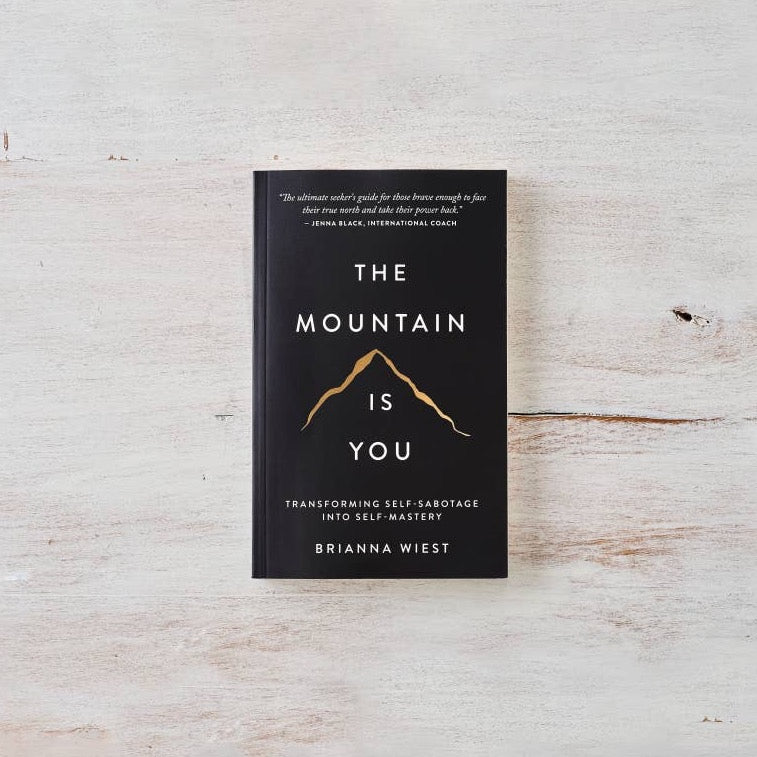 The Mountain Is You - book by Thought Catalog