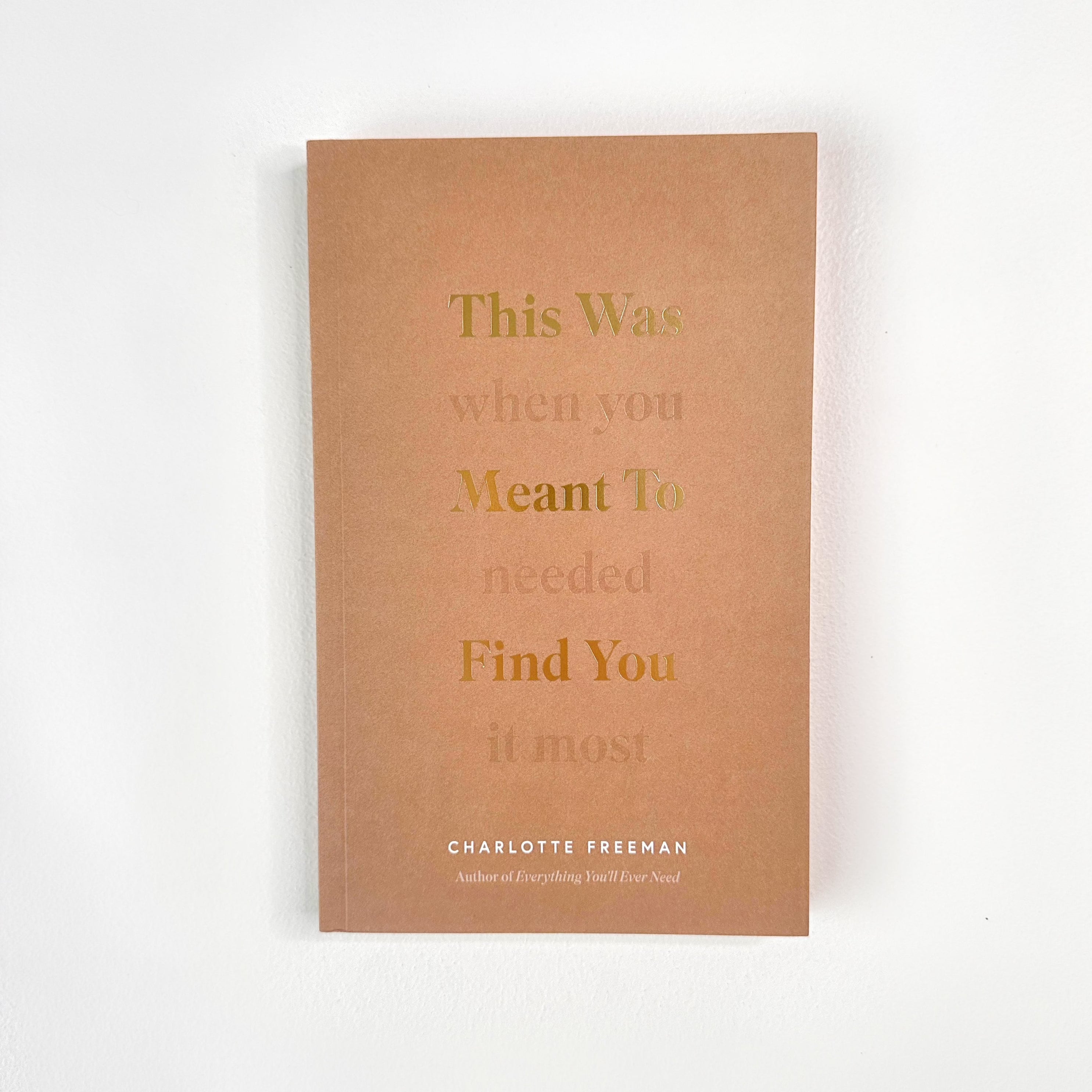 This Was Meant To Find You (When You Needed It Most) - Book by Thought Catalog