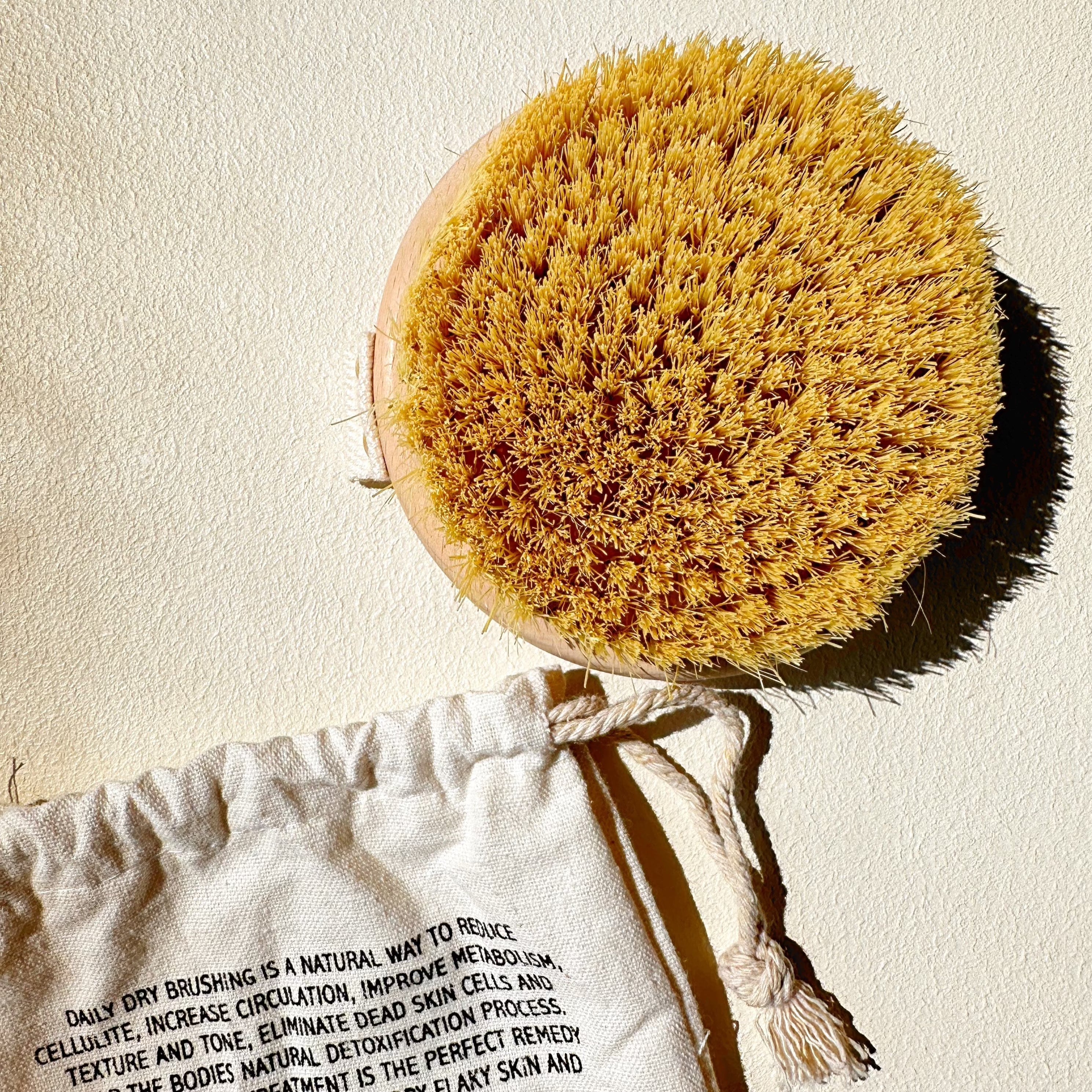 Vegan Cactus Bristle Sustainable Contoured Dry Body Brush by Bohemian Rêves